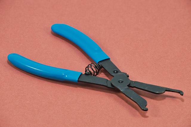 canadian homeowner reading diy article with tools ready